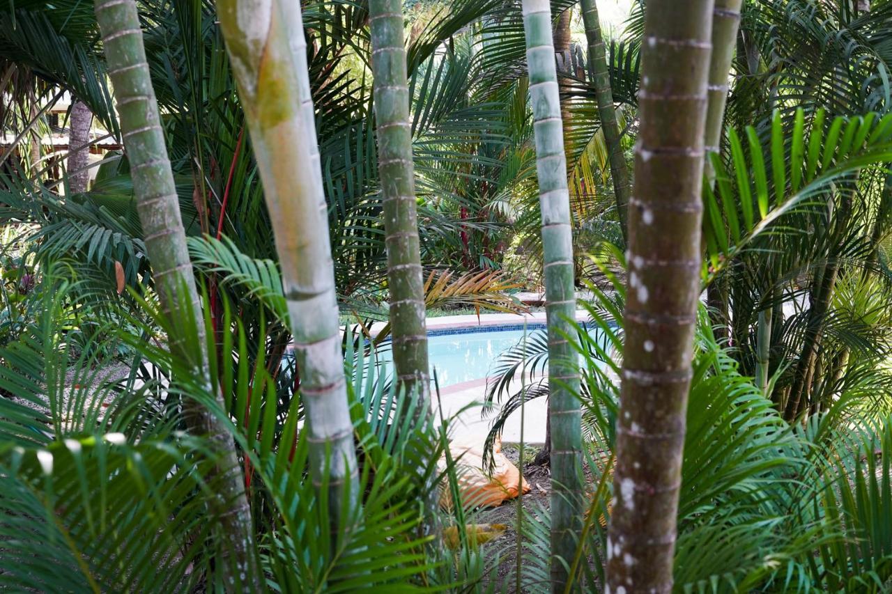 Hotel Luz De Luna Playa Santa Teresa  Экстерьер фото