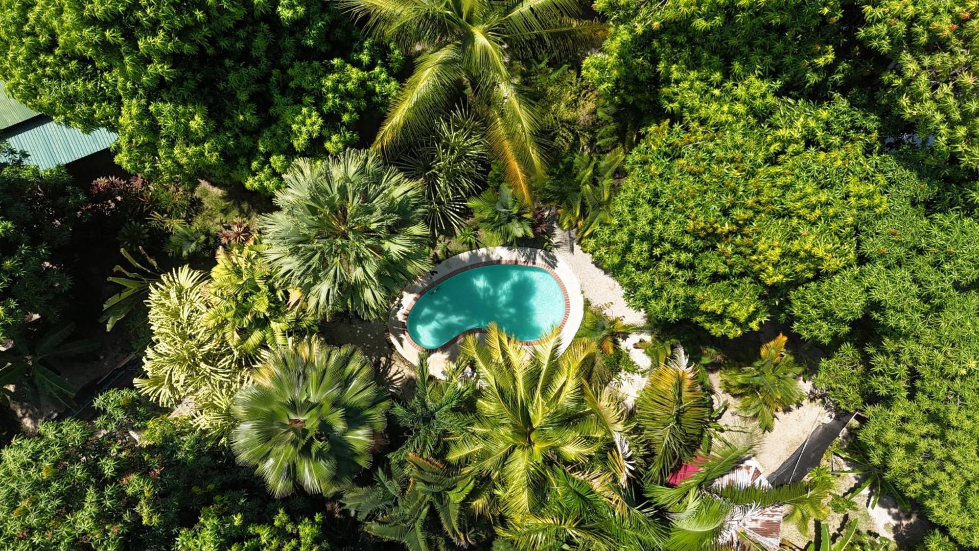 Hotel Luz De Luna Playa Santa Teresa  Экстерьер фото